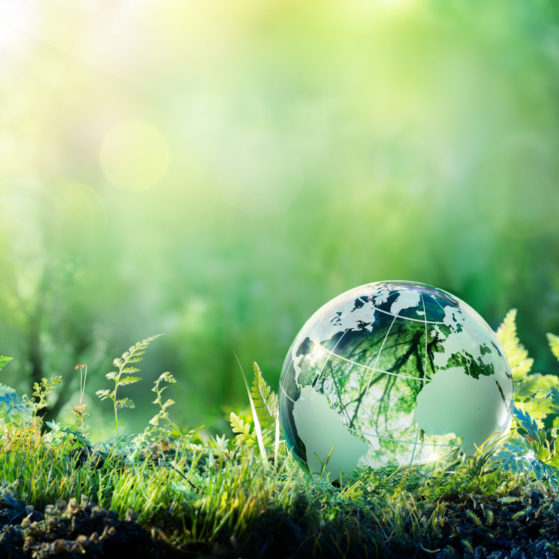 Green Globe On Moss - Environmental Concept
